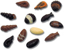 PLAQUE 275X135 POUR FRITURE DE 20 FRUITS DE MER.